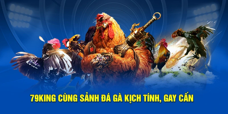 79KING Cùng Sảnh Đá Gà Kịch Tính, Gay Cấn